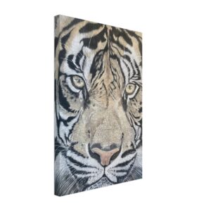 0e720d15-1844-4815-85f0-0ec29de31f5d