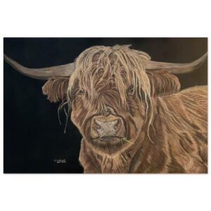 1ae2667f-e6a8-4b1b-be69-e6b83fdbd1d7