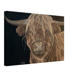 5e6b1020-2400-47f5-a5fe-11121a44e620