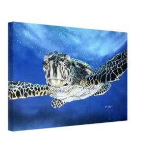 Canvas Limited Prints Turtle 12x18"