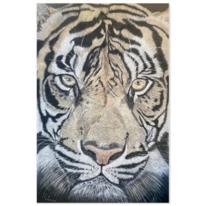 bc52dc1e-2f05-4e68-9bba-eaba56295f75